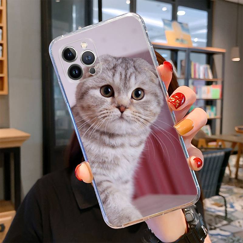 Britská krátkosrstá kočka Pouzdro na telefon pro iPhone 14 13 12 11 Pro Max XS X XR SE 2020 6 7 8 Plus Mini průhledné pouzdro