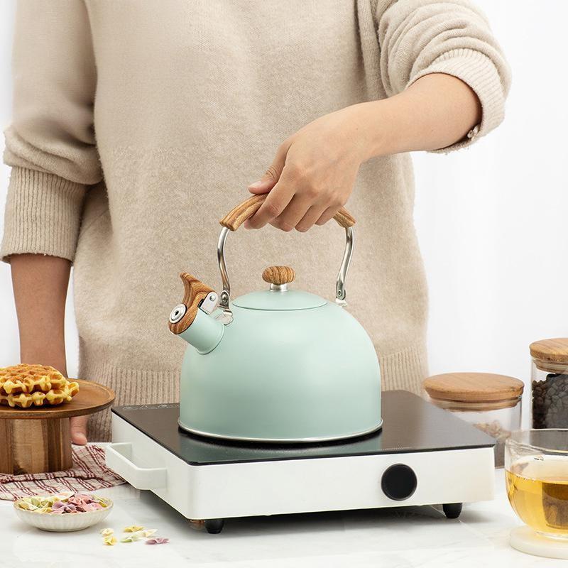 Modern Stainless Steel Whistle Kettle With Collapsible Handle For Home Kitchen And Gift Use
