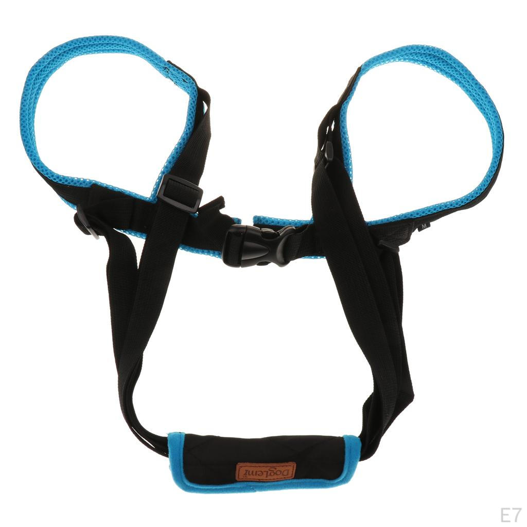 Dog Harness Lifting Aid Walking Aid, Various