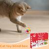 3D Stereo 24pc Cat Toy Christmas Blind/ Box XR-22 Pet Cat Blind/ Box