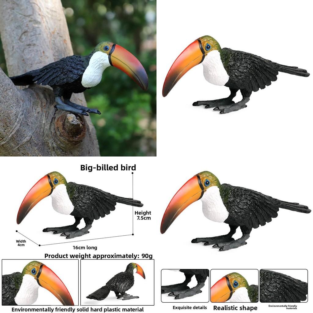 Simulated Wild Animal Big Billed Bird Ramphastos Toco Model Ornament Toys