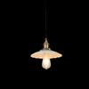 Rechargeable Retro Industrial Lotus Leaf Pendant Light