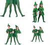 Premium Quality Peter Pan Robin Hood Storybook Costume For Men Women Unisex Party Wear