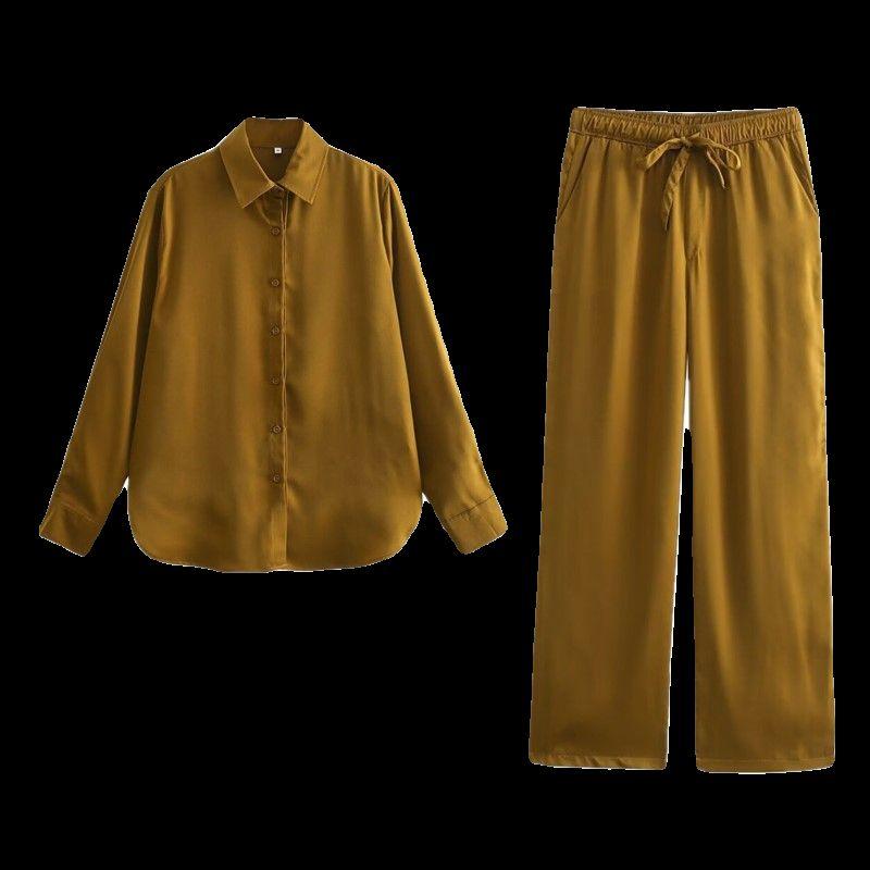 Fashion Style 2024 Spring New Women's Clothing Temperament Wild Silk Texture Silm Shirt 2193104 517