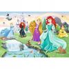 17361 "60 - Meet the Princesses" / Disney Princess