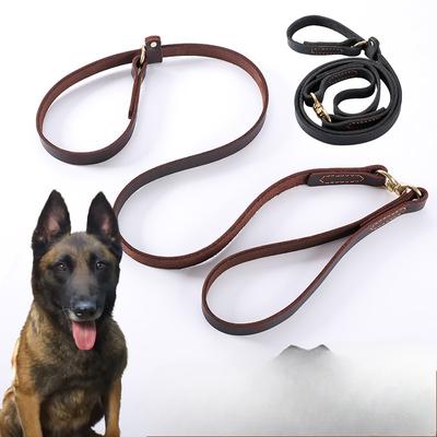 Köpek – Köpek Tasmaları ve Tasma Kayışları