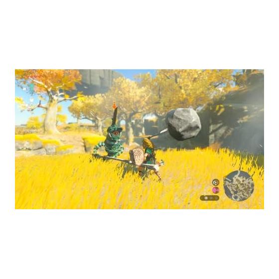 The Legend of Zelda: Tears of the Kingdom (Import Version: North America) - Switch