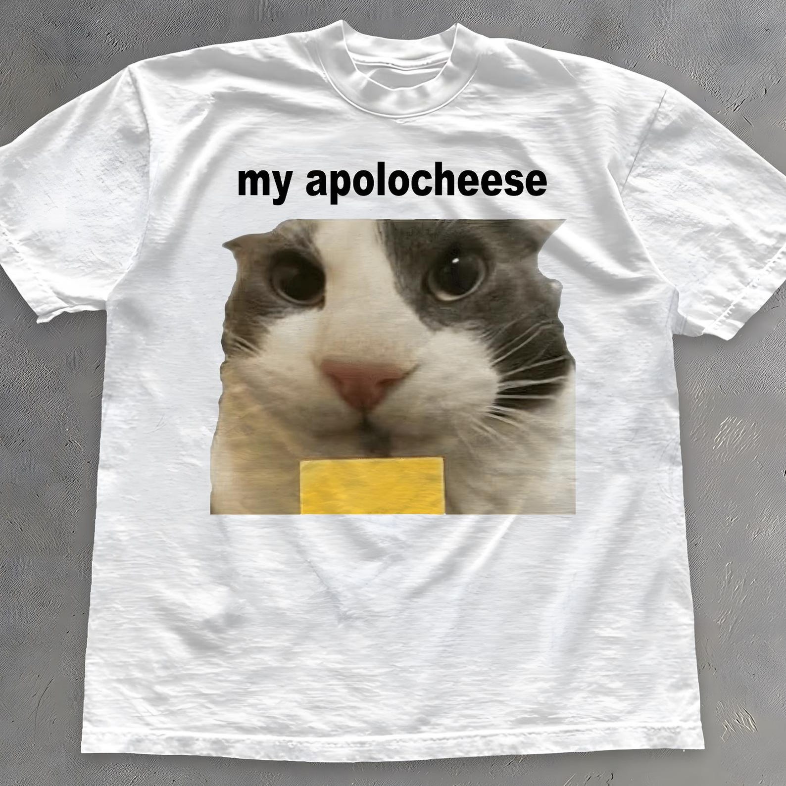 My Apolocheese Shirt - Funny Cat Holding Cheese Meme T-Shirt S