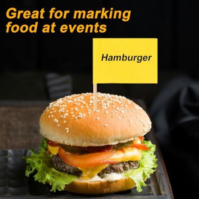 100pcs Colorful Blank Toothpick Flags, 10 Colors Rectangular Food Toothpick Flags, Solid Color Toothpick Labels for Party Cupcakes Appetizers Decor