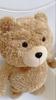 [USED] Ted Ted Bear Plush Sun Arrow Backpack Teddy Bear