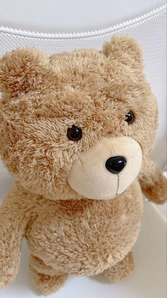 [USED] Ted Ted Bear Plush Sun Arrow Backpack Teddy Bear