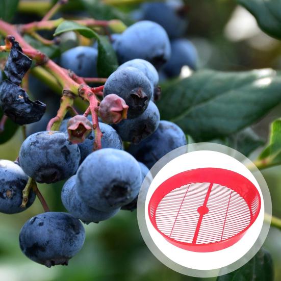 Blueberry Food Sieve Colander Cleaning Tray Drain Berry Vegetable Basket Washing Kitchen Fruit And