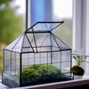 Micro Rainforest Succulent Glass Greenhouse Bonsai Vase