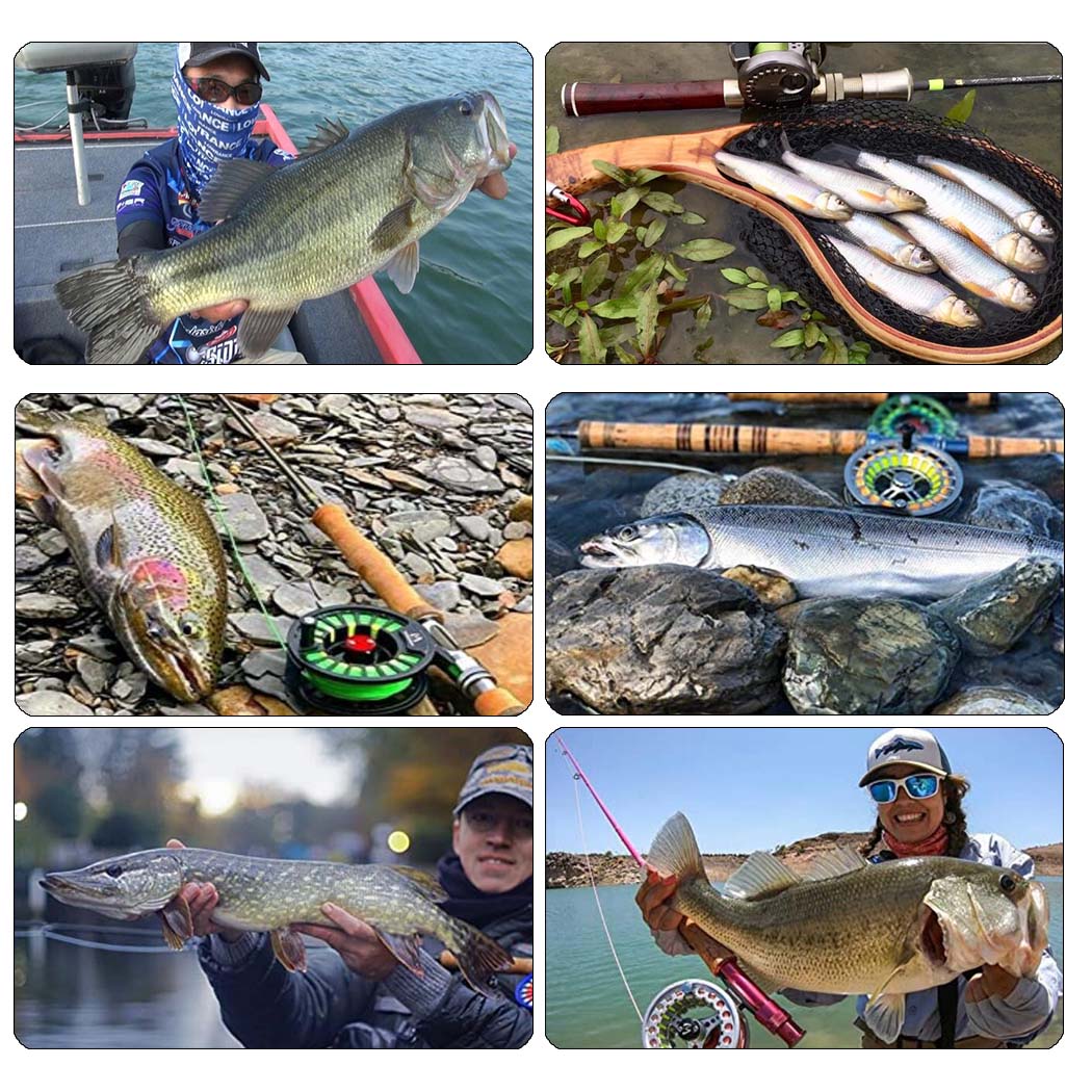 5/10 шт. — фото 6