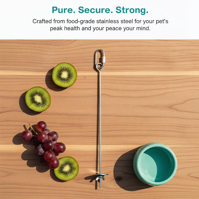 Durable Bird Cage Holder Stainless Steel Parrot Fork For Fruits And Vege