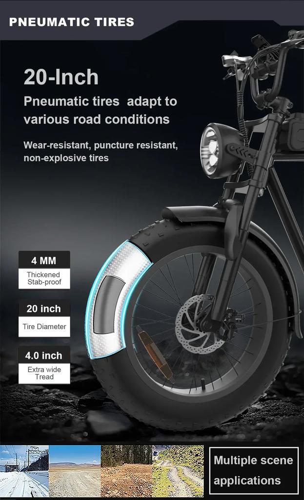 FXH-006 1000w electric bicycle fat tire e-bike for adults 48v 20AH 50km/h off road city ebike fatbike in EU Dutch warehouse