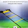 Agility Training Ladder