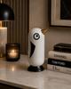 Ceramic Penguin Piggy Bank with a Golden Beak 13X12X23.5