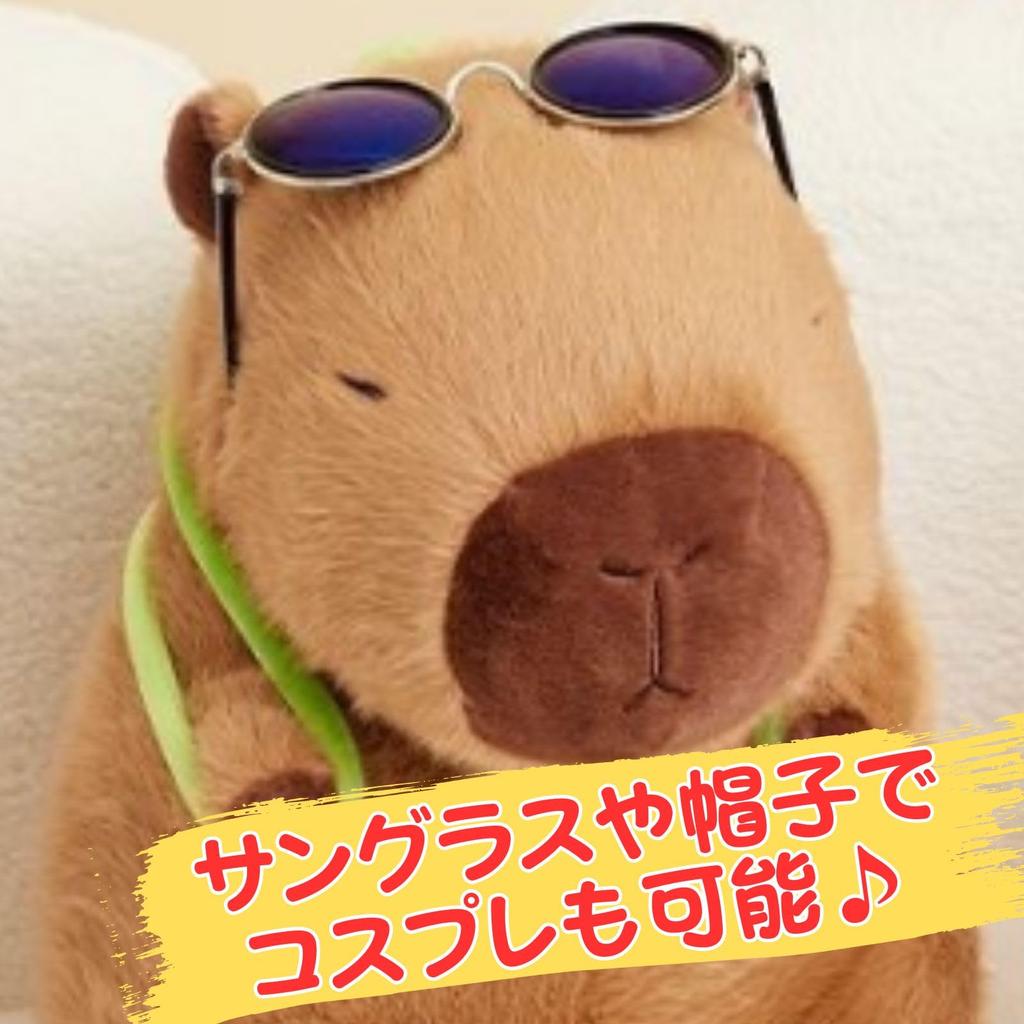 Leap Raupe Kapybara Plyšová želva 20cm