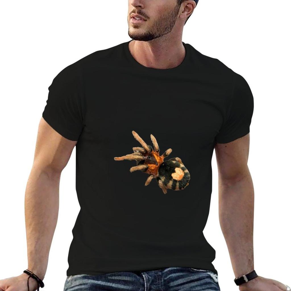 Cyriocosmus elegans Tarantula T-Shirt t-shirts mit Aufdrucken t-shirts für Unisex Packung Baumwoll-T-Shirts für Unisex Baumwolle lustiges T-Shirt