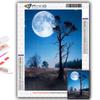 Full 5D Diy Diamond Painting Moon Art 5D Diamond Painting