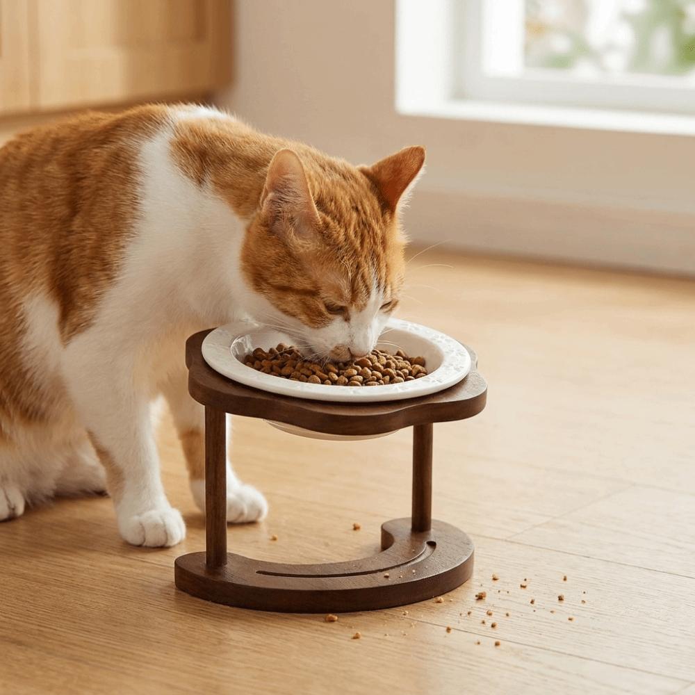 Anti Slip Elevated Cat Water Bowl High Foot Cat Feeding Station Ceramic Cat Bowl Wet Dry Food
