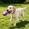 Latex Animal Dog Toy Squeaky Dog Chew Toy Puppy Teething Toy for Aggressive Chewers Teeth Cleaning Fetch Game