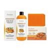 Persimmon Body Wash & Persimmon Soap Bar Set for Deodorizing Body Odor Control, Skin Brightening Purifying Soap for Smooth Skin