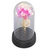 Colorful Light Up Rose in Glass Dome Birthday Gifts Ambient Lighting Light Up Artificial Flower Rose for Anniversary