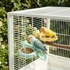 Anti-Splash Parrot Perch Feeder Detachable Bird Feeding Dish Bird Food Stand  Bird Training
