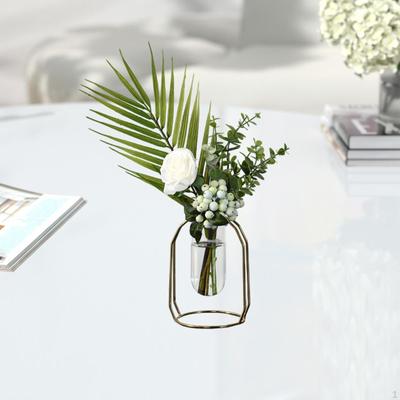 Vaso de Tubo de Ensaio Hidropônico Suporte de Metal para Decoração de Casa e Escritório