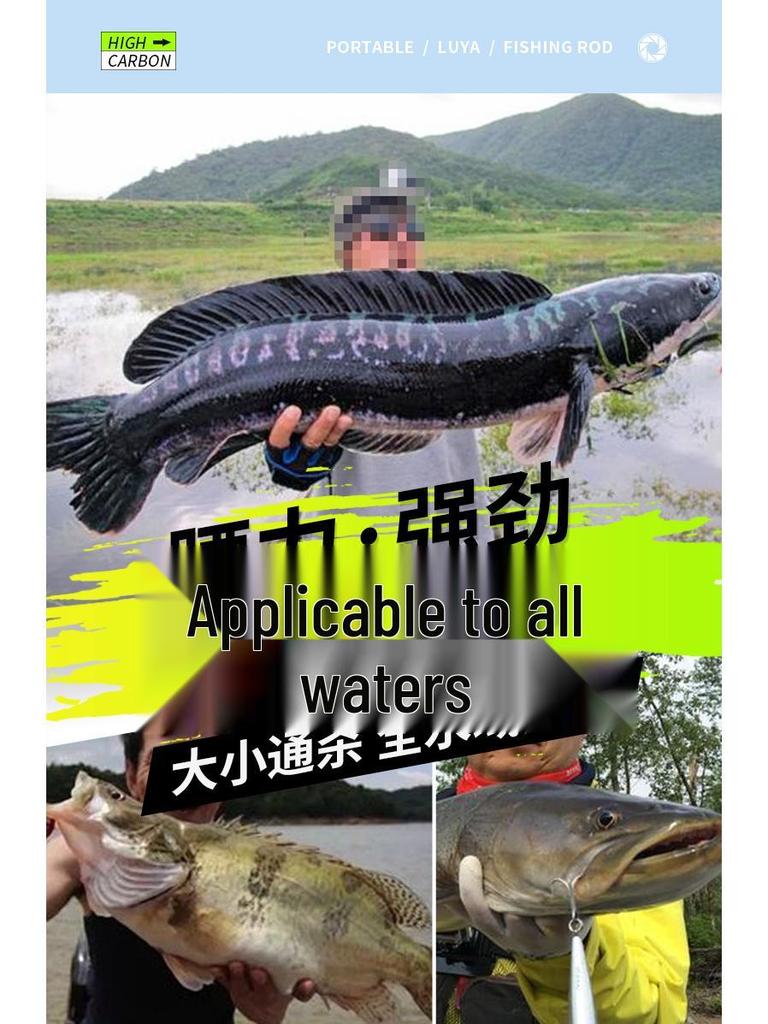 Telescopic Long Distance Casting Sea Fishing Rod Set with Guides & Baitcasting Reel