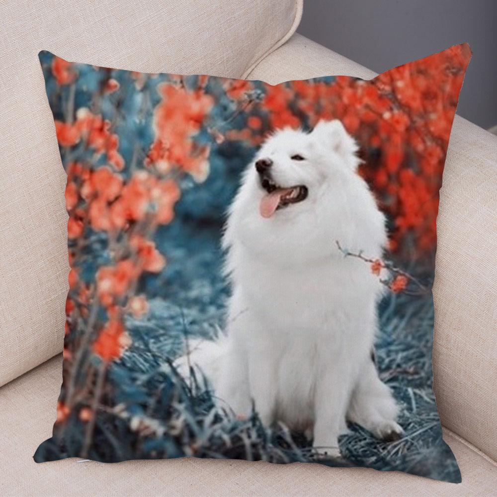 50 Stil Husă de Pernă Câine Alb Drăguț Samoyed Decor Husă de Pernă Animal de Companie Iubitor Husă de Pernă Moale de Pluș pentru Canapé Cameră Copii