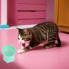Cute cat bowl tilted high-legged cat bowl cat eating bowl cat food bowl black water bowl cat food bowl dog bowl