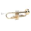Bb Brass Cornet Kit Golden Key Cornet Musical Instrument with Carrying Case for Beginners Students