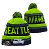 Lion Rugby Knit Hat, Dolphin Outdoor Warm Sun Hat, 49ers Hip Hop Ear Protection Hat