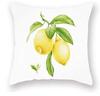 Yellow Lemon Decorative Pillowcase Super Soft Cushion Cover Gift Indoor And Outdoor Home Decoration Pillowcase45X45 Pillow Case