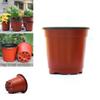 10/50/100 Stück Plastik Sämlingshalter Blumentöpfe mit ausgewogenen Drainageeigenschaften**