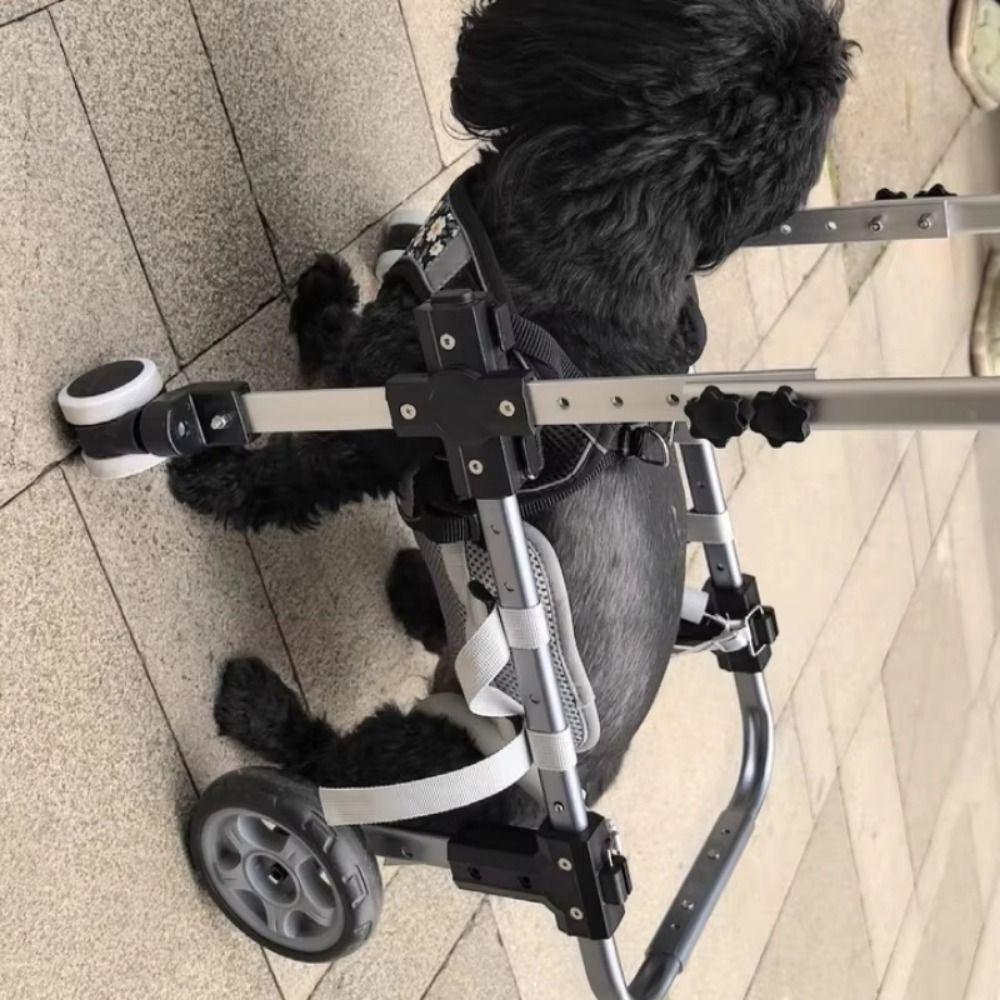 2/4kolový psí invalidní vozík Nastavitelná podpěra pro zvířata Paralýza zadních končetin