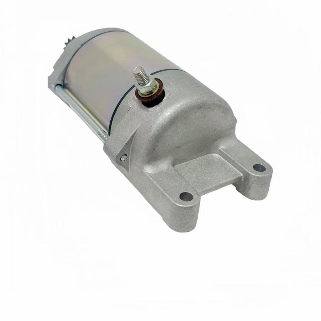 Motorcycle Starter Motor for TGB ATV 425/500 924470E
