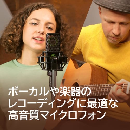 LEWITT LCT 441 FLEX Condenser Microphone for Vocal and Instrument Recording, 8 Polarity Types