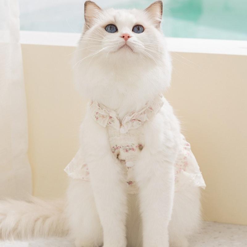 Spring and summer thin daisy skirt lace collar cat and dog clothing two-legged casual wear