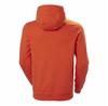 Helly Hansen Box худи