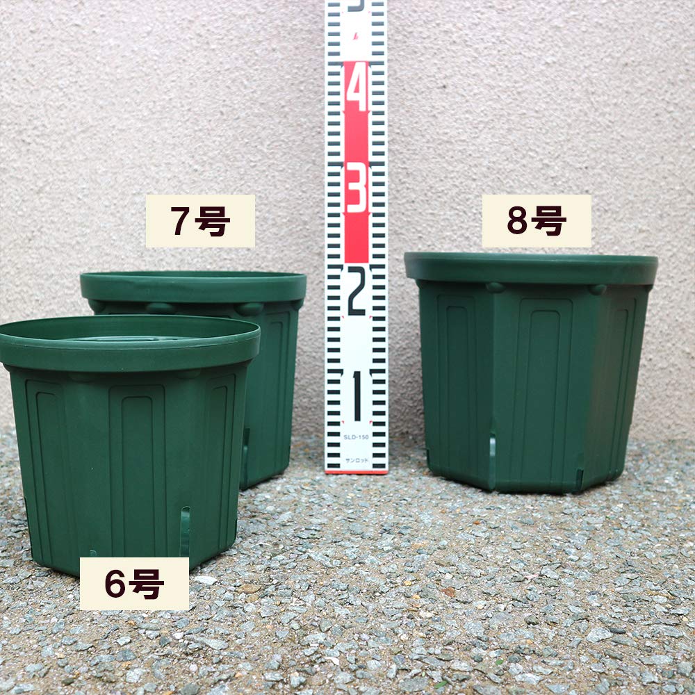 ITANSE Schlitz-Töpfe 8 1 pro Set und Zubehör zur Auswahl je nach Es gibt große Schlitze an den so dass die die es nicht mögen, ausgesetzt zu werden