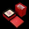 Women's Glass Coffee Cup Personal Tea Cup Glass Water Cup Portable Mug Gift Box Set with Spoon and Saucer