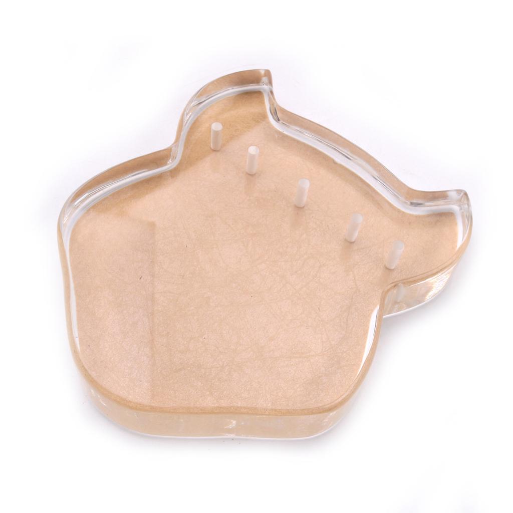Thumb Piano 17 Keys with Tune Hammer Pillow Wood and Screws Acrylic Cute Rhino Head Shape Musical