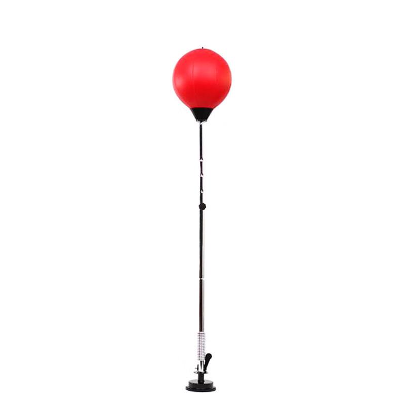WEZHO Boxing Speed Training Ball