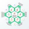 Organic Forest 100% WEGAŃSKI czysty olej rycynowy tłoczony na zimno do wzrostu włosów | Olejek do włosów bez heksanu dla kobiet i mężczyzn |