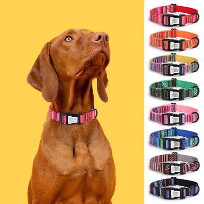 Passives Anti-Verlust-Hundehalsband aus Nylon im ethnischen Stil für Haustiere