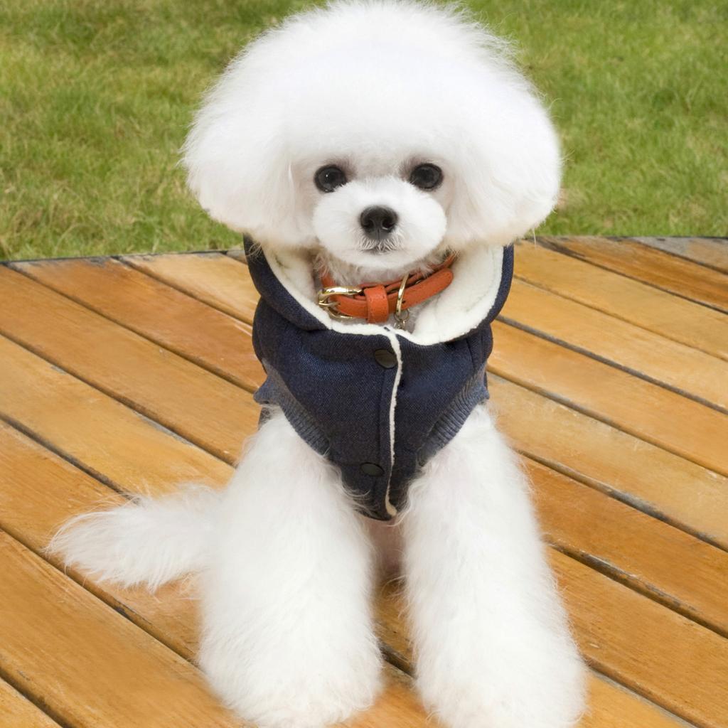 Jacket, Sweatshirt, Winter Down Jacket, Anumal Domestic Hooded Coat, Warm Clothes For Large Medium Dogs (L (Chest: 44cm, Neck: 29cm), Gray)